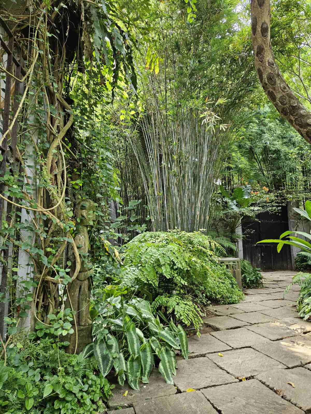A pathway to other areas of the property.